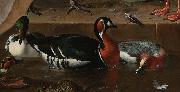 A Pelican and Other Birds Near a Pool, known as 'The Floating Feather'